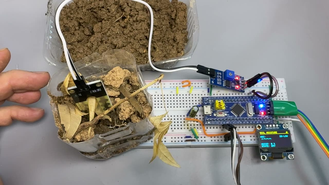 土壤湿度传感器实拍接线：探头插土 + 面包板 + STM32 + OLED 显示 DRY 状态